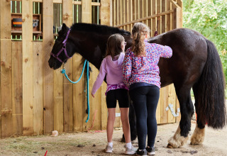 To børn plejer en sort hest i en stald ved BoerenBed New Barn Farm, en feriepark i Østengland.