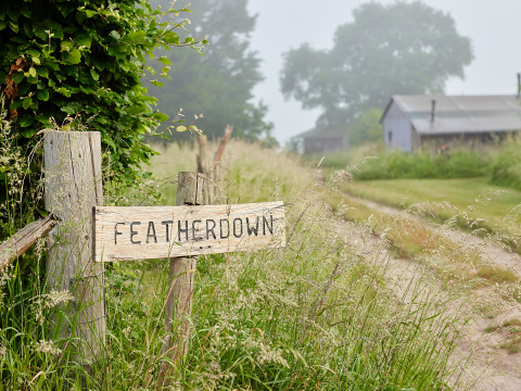 Holzschild mit der Aufschrift 'Featherdown' an einem ländlichen Weg auf dem BoerenBed Manor Farm Ferienpark.