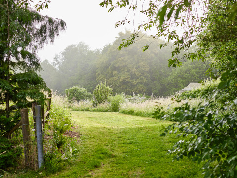 Grüne Wiese und Landschaft bei BoerenBed Manor Farm, Ferienpark in Südostengland, umgeben von Bäumen.