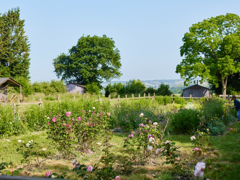 Blühender Garten mit Rosen und Bäumen im BoerenBed Manor Farm Ferienpark in Südostengland, Vereinigtes Königreich.