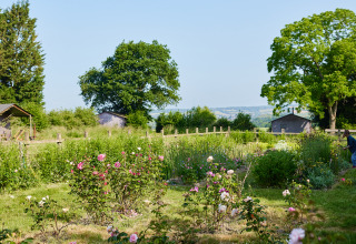 Blühender Garten mit Rosen und Bäumen im BoerenBed Manor Farm Ferienpark in Südostengland, Vereinigtes Königreich.