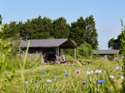 Et glamping telt ved BoerenBed Manor Farm-ferieparken i det sydøstlige England, omgivet af natur.