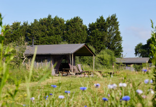 Et glamping telt ved BoerenBed Manor Farm-ferieparken i det sydøstlige England, omgivet af natur.
