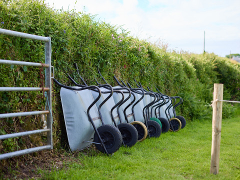 Mehrere Schubkarren lehnen an einer Hecke bei BoerenBed Treganhoe Farm in Südwestengland im Freien.