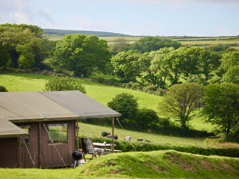 Vue sur la nature et une tente à BoerenBed Treganhoe Farm, parc de vacances dans le sud-ouest de l’Angleterre.