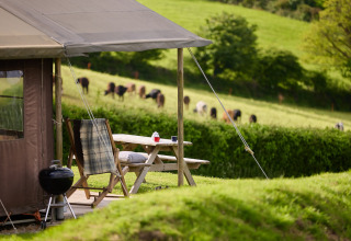 Escena tranquila de campamento en Treganhoe Farm, Inglaterra, con mesa, silla, barbacoa y vacas pastando.