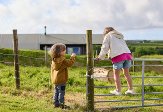 Deux enfants jouent près d’une clôture sur une ferme avec des champs verts et une grange en arrière-plan.