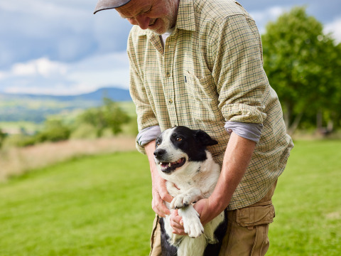 Mand iført ternet skjorte leger med sort-hvid hund på en grøn mark ved BoerenBed Pant y March Farm i Wales.