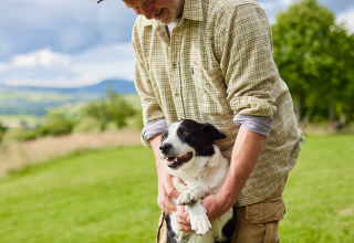 Uomo con camicia a quadri gioca con un cane bianco e nero su un prato a BoerenBed Pant y March Farm, Galles.