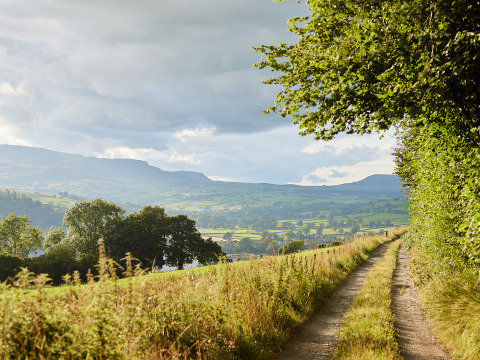 Scenic view at BoerenBed Pant y March Farm holiday park in Wales with a path, fields, and distant hills.