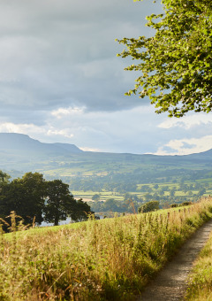 Landschapszicht bij BoerenBed Pant y March Farm in Wales met een pad, velden en heuvels op de achtergrond.