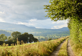 Landschapsbeeld bij BoerenBed Pant y March Farm in Wales met pad, velden en heuvels op de achtergrond.