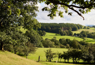 Uitzicht op groene velden en bossen bij BoerenBed Pant y March Farm vakantiepark in Wales, Verenigd Koninkrijk.