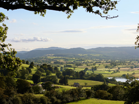 Blick auf die walisische Landschaft bei BoerenBed Pant y March Farm, mit Feldern, Bäumen und fernen Hügeln.
