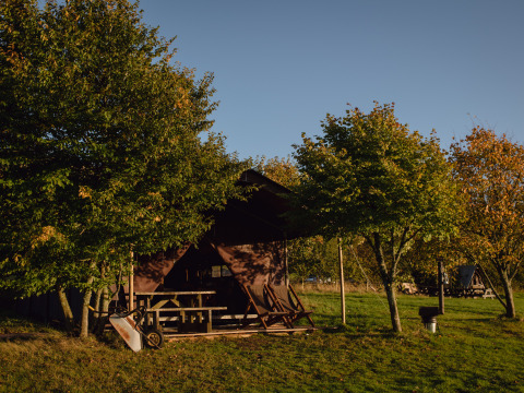 Gemütliches Zelthaus mit Picknicktisch auf dem BoerenBed Pant y March Farm Ferienpark in Wales, umgeben von Bäumen.