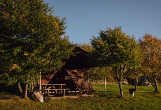 Canvas tent met picknicktafel bij BoerenBed Pant y March Farm vakantiepark in Wales, omringd door bomen.