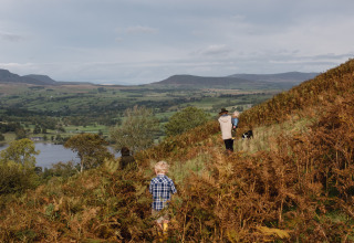 Familie går gennem bregner på en bakke med udsigt over dal og sø ved BoerenBed Pant y March Farm i Wales.