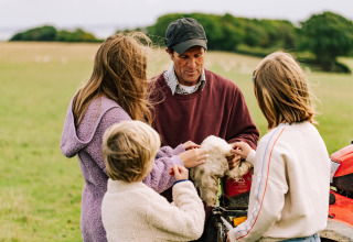 Famille découvrant la laine de mouton dans un champ à BoerenBed Lunsford Farm, parc de vacances en Angleterre du Sud-Est.