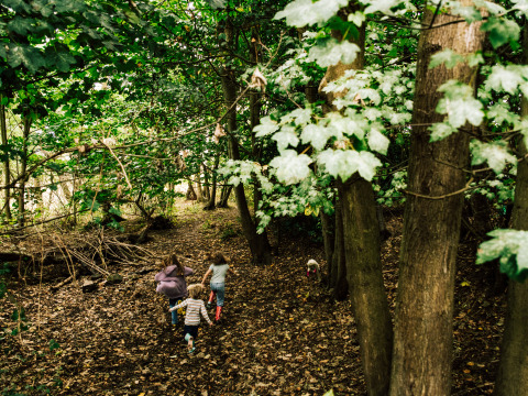 Kinder rennen durch einen grünen Wald im BoerenBed Lunsford Farm Ferienpark in Südostengland, Großbritannien.