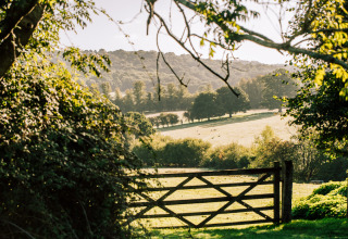 Vista de un campo verde con árboles y una verja de madera en BoerenBed Sunninglye Farm, este de Inglaterra, Reino Unido.
