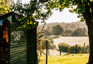 Honesty shop hut at BoerenBed Sunninglye Farm, East England, with countryside fields and trees in the sunshine.