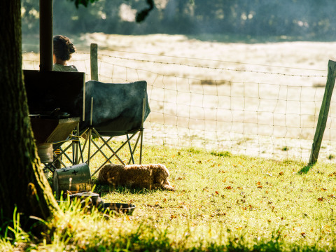 Person entspannt im Campingstuhl mit Hund auf der Wiese bei BoerenBed Sunninglye Farm, Ostengland.