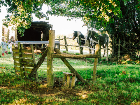 Niños corren hacia unos caballos cerca de un cobertizo en BoerenBed Sunninglye Farm, parque vacacional en Inglaterra.