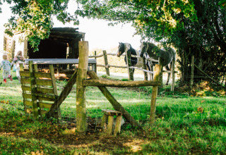 Børn løber ved en gård med heste bag et hegn på BoerenBed Sunninglye Farm, feriepark i Østengland.