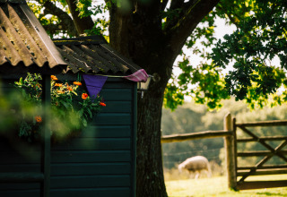 Ein gemütlicher Schuppen mit Blumen und Wimpeln unter einem Baum auf dem BoerenBed Sunninglye Farm in England.