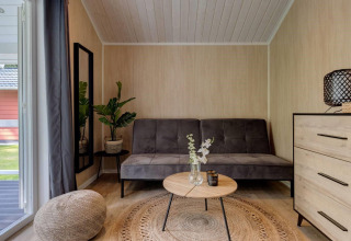 Zona giorno moderna nel Tiny House Deluxe al parco vacanze Latour nei Paesi Bassi con divano grigio.