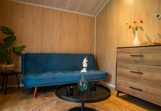 Soggiorno moderno nel Tiny House Deluxe al Holiday park Latour, Paesi Bassi, con divano blu e mobili in legno.