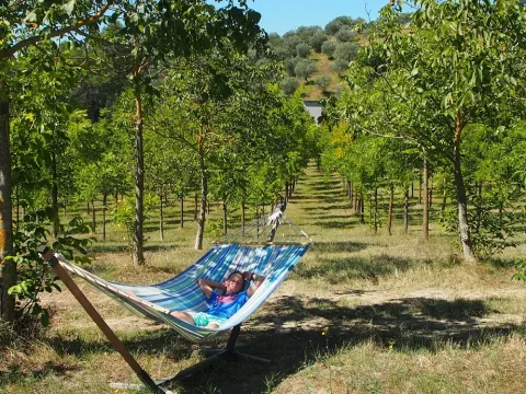 Ragazzo rilassato su un’amaca tra file di alberi, giornata di sole, esperienza in tenda safari.