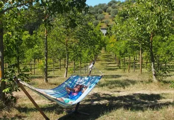 Niño descansando en una hamaca entre árboles bajo el sol, experiencia de tienda tipo safari.