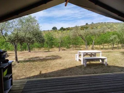 Uitzicht vanuit een safaritent met badkamer op Camping Pian di Boccio, Italië, met bomen en picknicktafel.