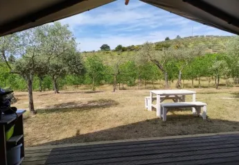 Vista desde una tienda safari con baño en Camping Pian di Boccio, Italia, con árboles y mesa de picnic.