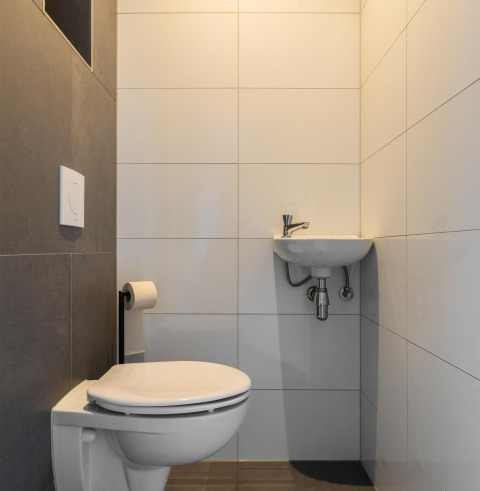 Modern toilet and small sink at Ecovilla Waterzicht Comfort, Holiday park Latour, Netherlands.