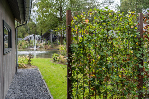 View of a pond with fountains, lush garden, and trellis with vines at Ecovilla Waterzicht in the Netherlands.