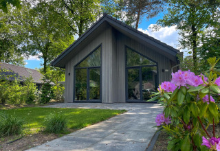 Front view of Ecovilla Boszicht Comfort lodge surrounded by trees at Holiday park Latour, Netherlands.