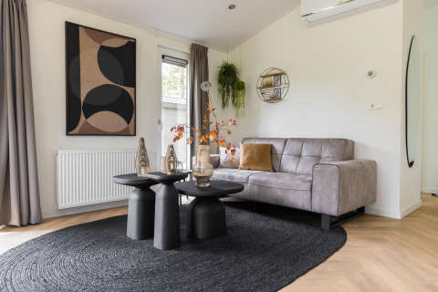 Sala moderna en Villa Bosrand Comfort en Holiday park Latour, Países Bajos, con sofá gris y alfombra negra.