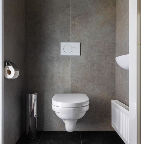WC sospeso moderno nel bagno della Villa Bosrand Comfort, Holiday park Latour, Paesi Bassi.