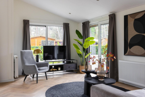 Modern living room at Villa Bosrand Comfort, Holiday park Latour, with armchair, TV and garden view.