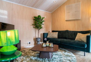Sala de estar en Lodge Deluxe Plus en Holiday park Latour, Países Bajos, con sofá verde y decoración moderna.