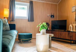 Modern living room in Lodge Deluxe at Holiday park Latour, Netherlands, with a green sofa and TV.