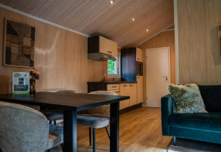 Interior moderno de cabaña con mesa de comedor, cocina y sofá en Lodge Deluxe, Holiday park Latour, Países Bajos.