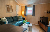 Cozy living room in Lodge Deluxe at Holiday park Latour, Netherlands, featuring a green sofa and décor.