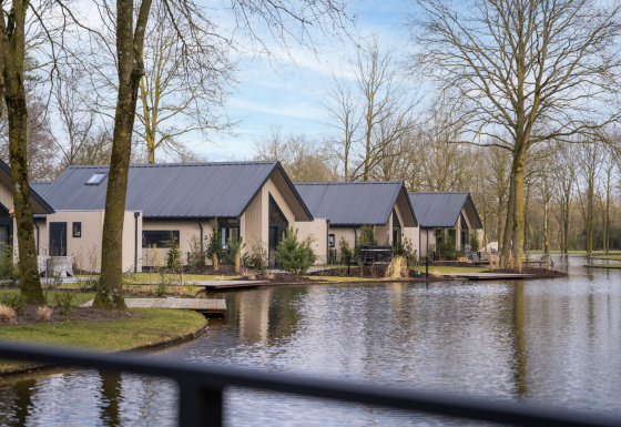 Ecovilla Waterzicht Luxe lodge with modern rooftops beside a pond, surrounded by trees in a calm setting.