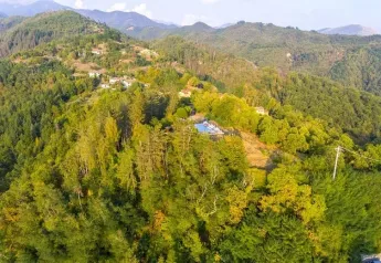 Vista aérea de la Safaritent onderste terras en Camping Pian d'Amora, Italia, rodeada de colinas verdes.
