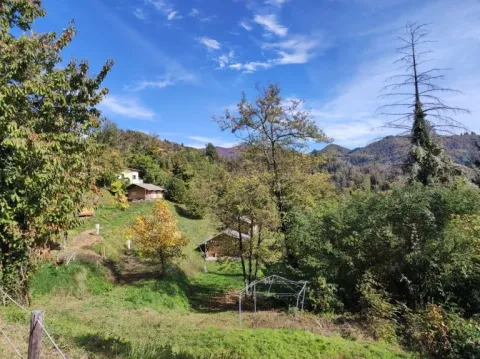 Uitzicht op de natuur bij Safaritent onderste terras op Camping Pian d'Amora in Italië.