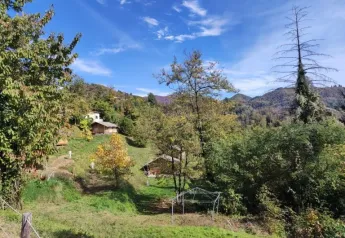 Uitzicht op de natuur bij Safaritent onderste terras op Camping Pian d'Amora in Italië.