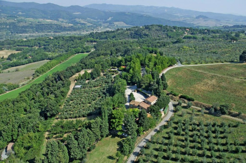 Luchtfoto van het Toscaanse landschap rond Montescudaio in Italië, met wijngaarden en heuvels.
